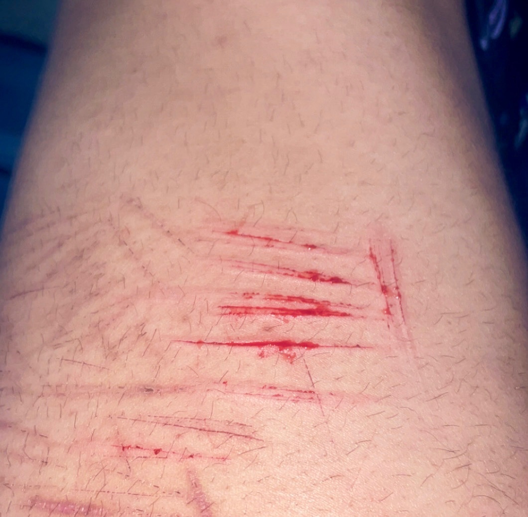 nepeta leijon of shtwt tweet media