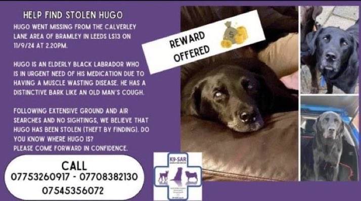 LisaClareRead2's tweet image. Please RT, Have you seen Hugo?
This elderly lad was last seen over a year ago on 11th September 2024 in the Calverley Lane area Bramley #Leeds LS13 
Please report any sightings &amp;amp; help get him home 🙏
#Labrador #NorthEast 

⬇️⬇️ #Stolendoghour #missing 
 #helpusfindhugo