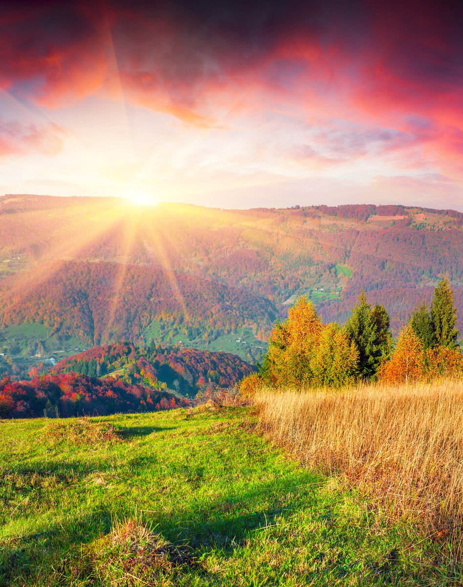 ashley loney tweet media