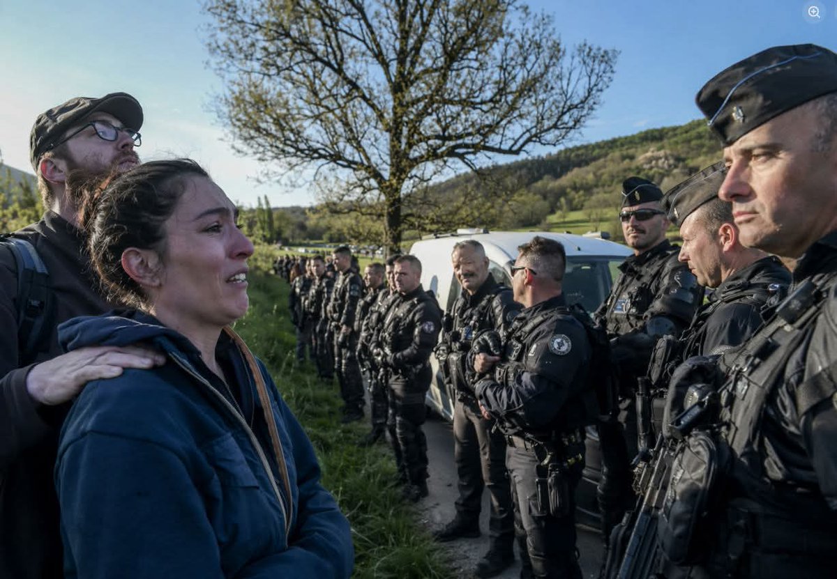 Jess Gill tweet media