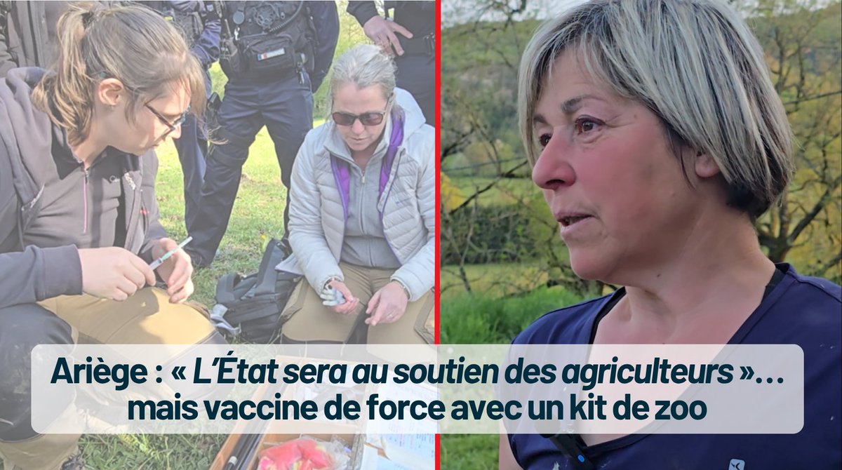 France-Soir tweet media