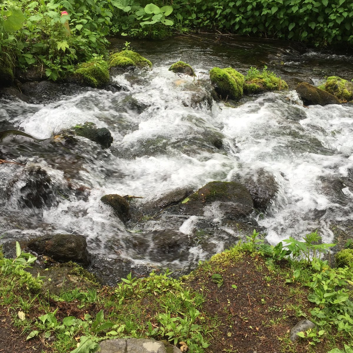 奴隷しほ tweet media