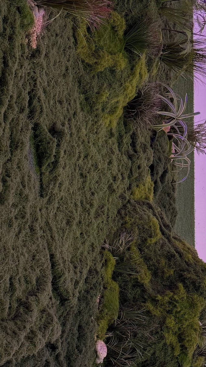 gossamorphic tweet media