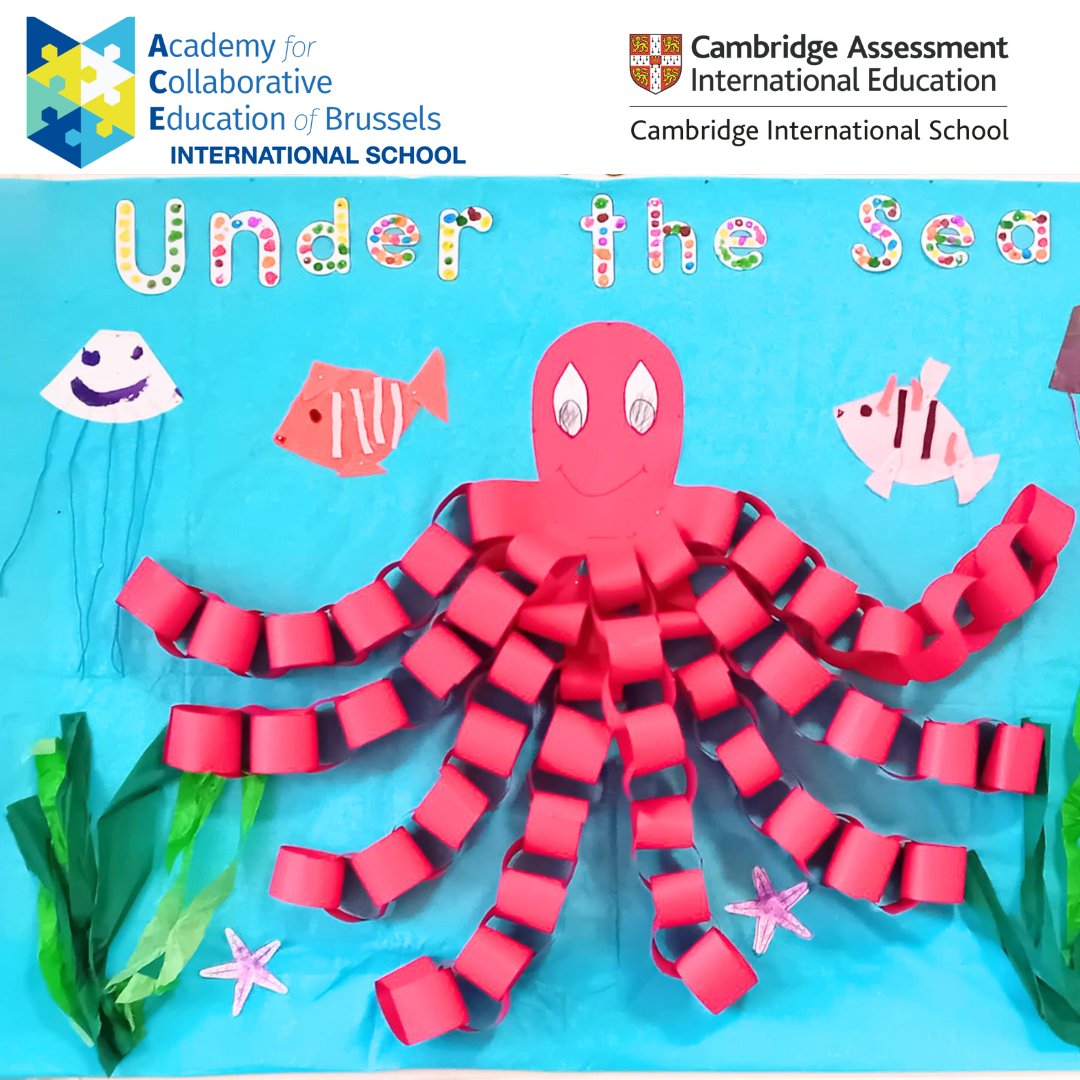 ACEofBRUSSELS's tweet image. Looking for the right international school in Brussels?  At ACE of BRUSSELS INTERNATIONAL SCHOOL we keep things simple, warm and family-centred. info@aceofbrussels.com #ACE #SCHOOL #BRUSSELS   #earlyyears #Junior #Senior #INCLUSION  #primary #senior #INTERNATIONAL #expat #small