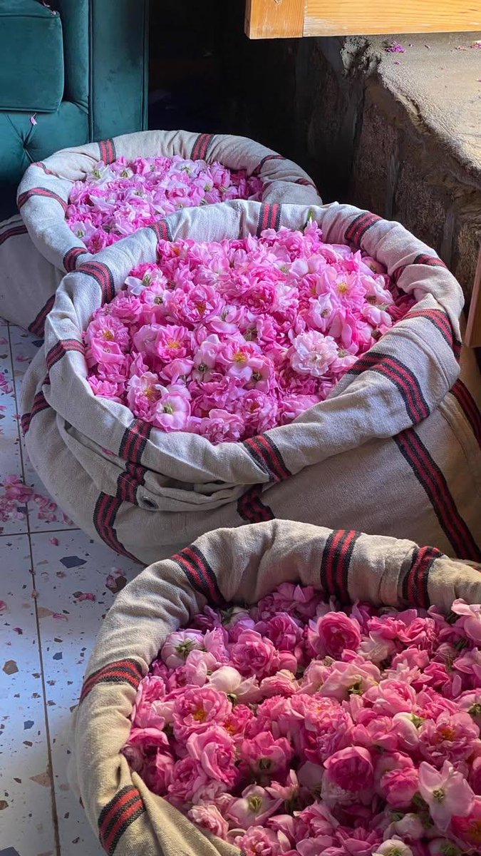 فرات✏️ tweet media