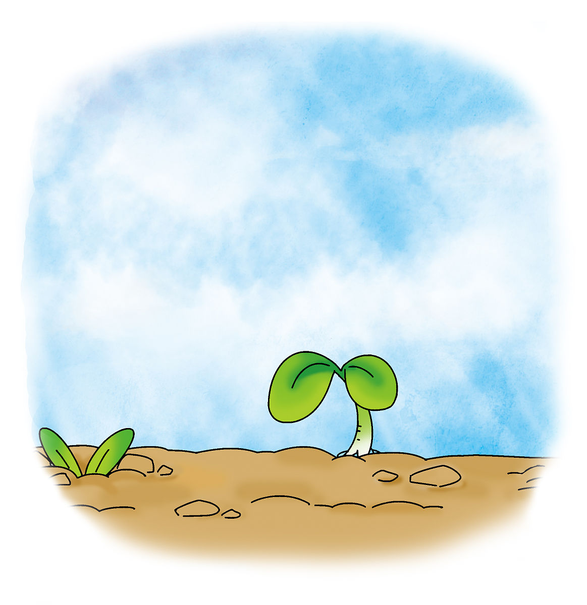 halim BoOm tweet media