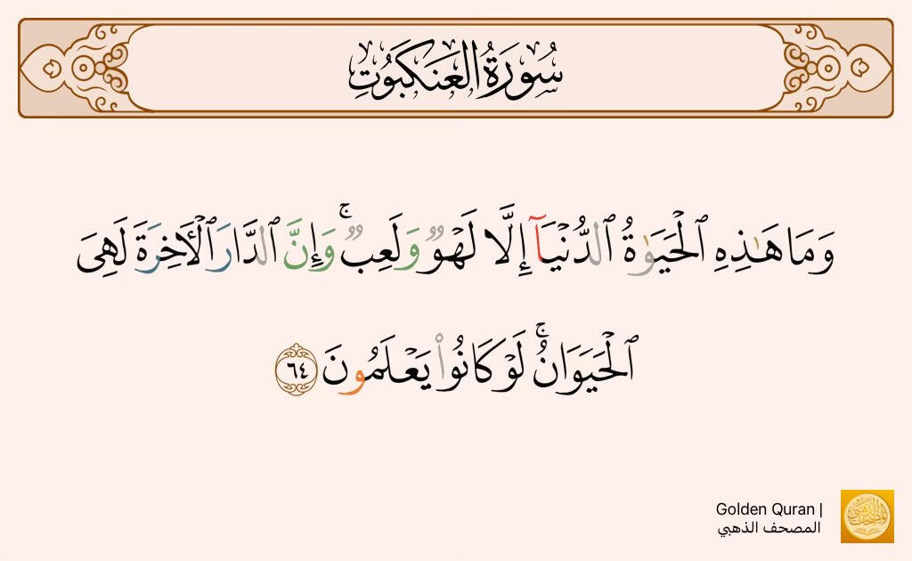 qasem salam tweet media