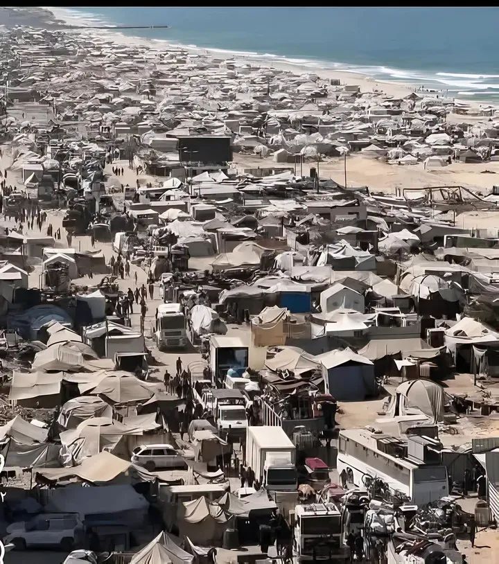 مُحمَّد🌿 غزة 🇵🇸 tweet media