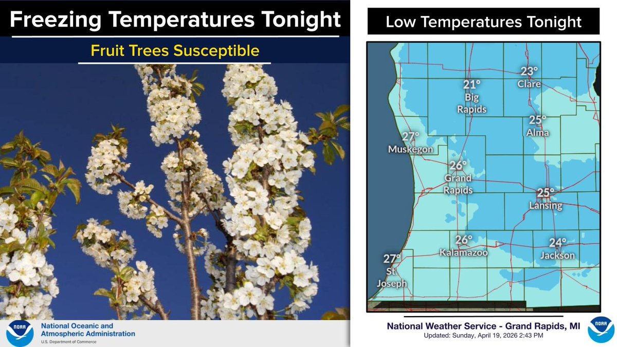 NWSGrandRapids's tweet image. Temperatures in the 20s tonight could harm early season fruit trees as many are in bloom. #wmiwx