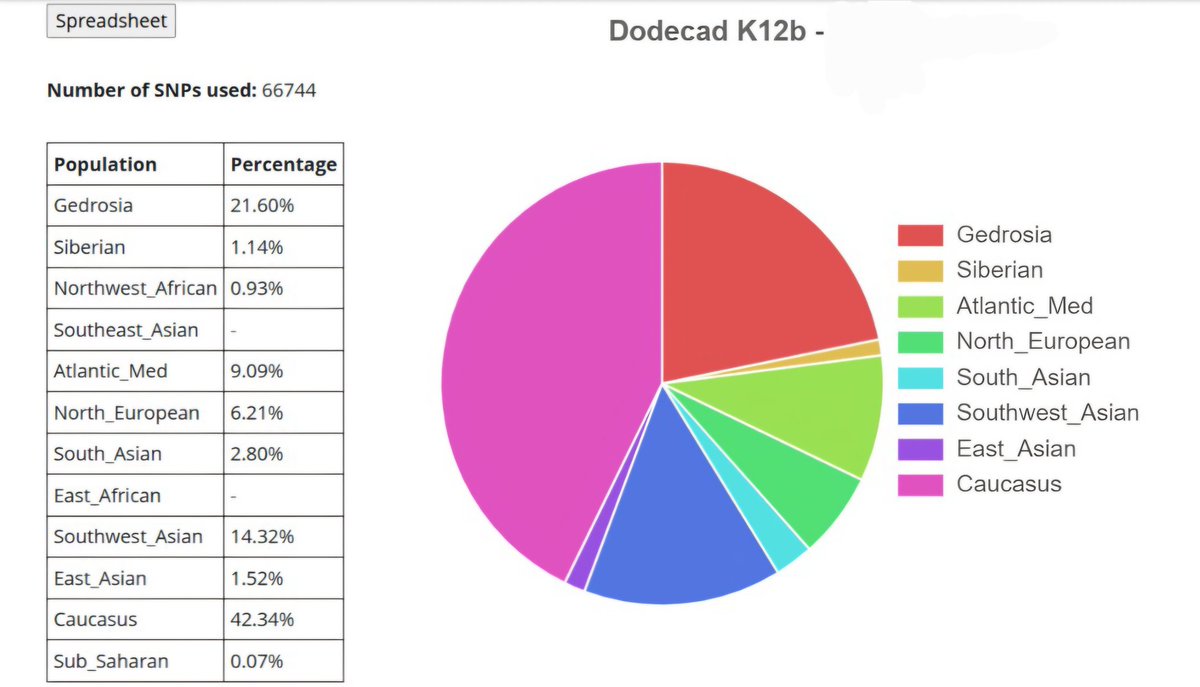 Qizilbash DNA Project tweet media