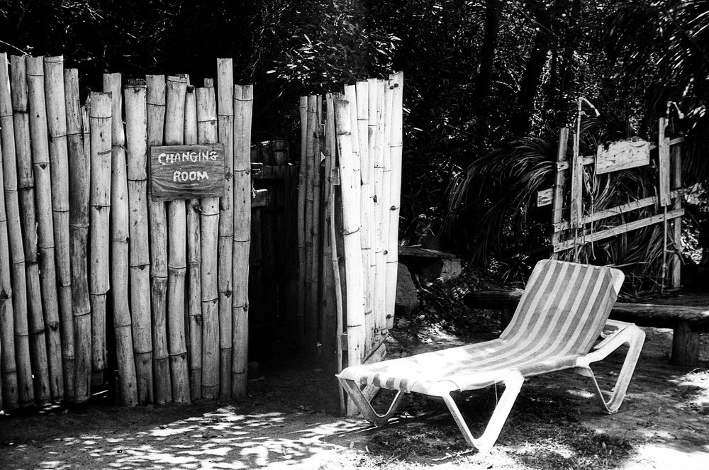 lesley o'hare tweet media