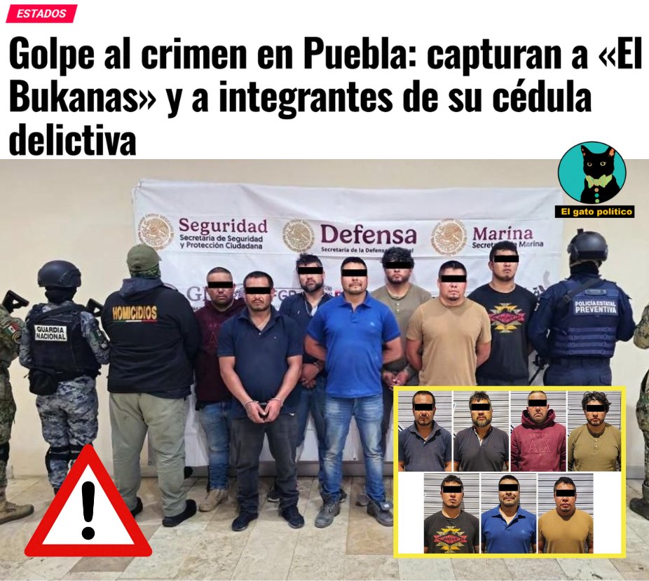 El gato político tweet media