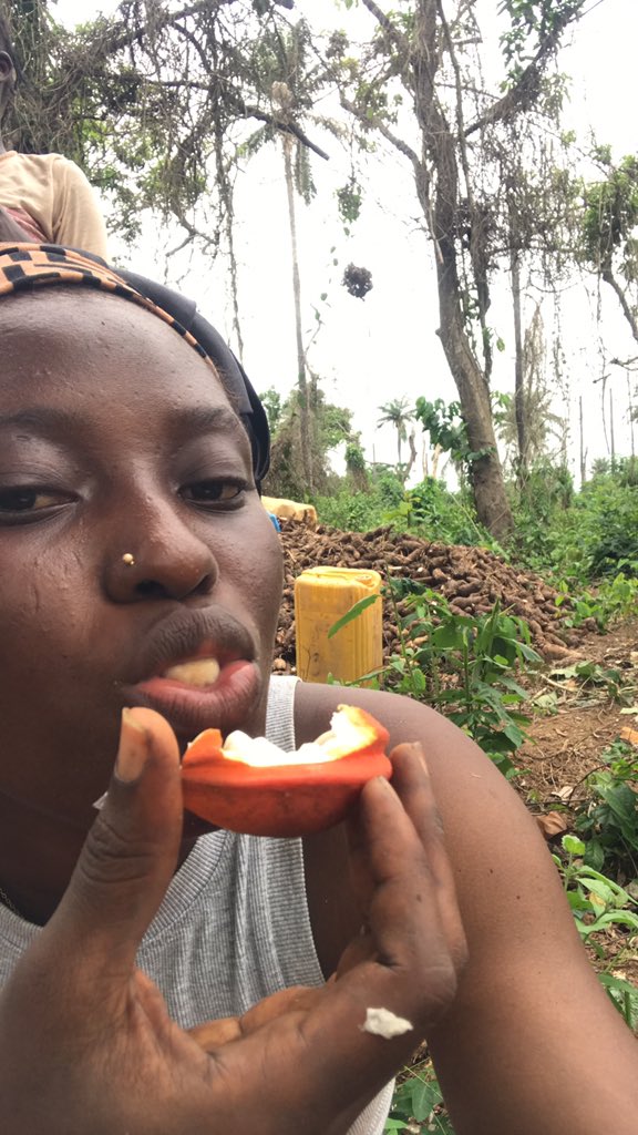 Had an hectic day at my daddy’s farm today 😩

Good evening mutuals 🥹