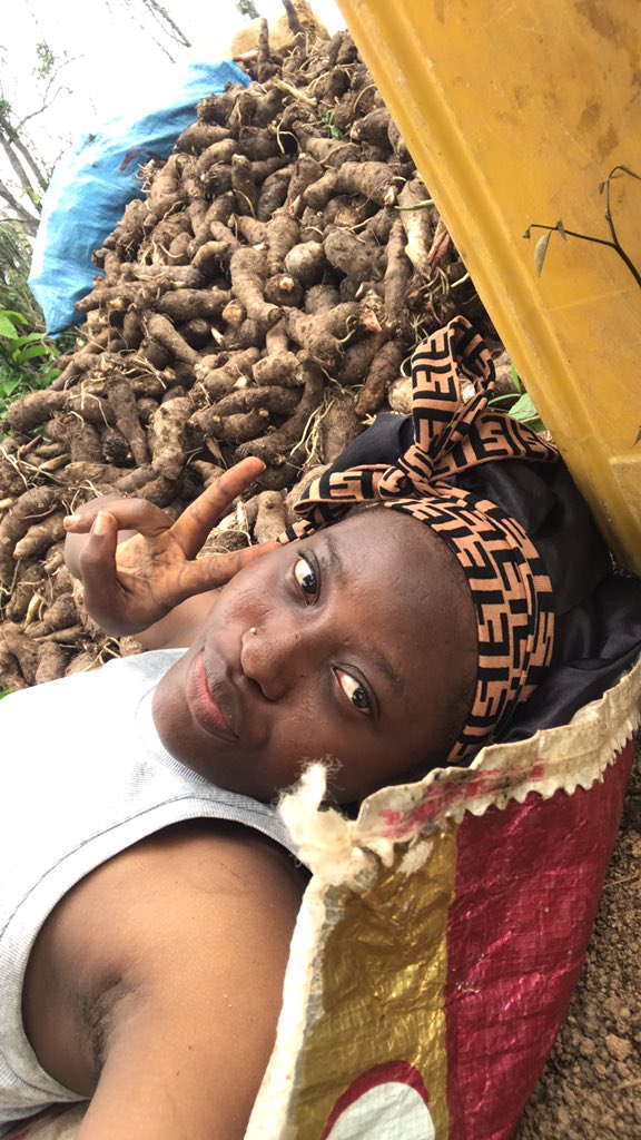 Moyosore tweet media