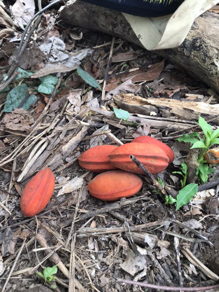 Moyosore tweet media