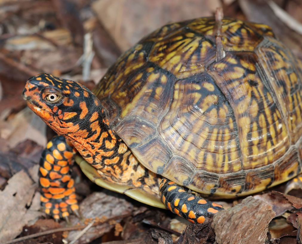 Give A Shit About Nature tweet media