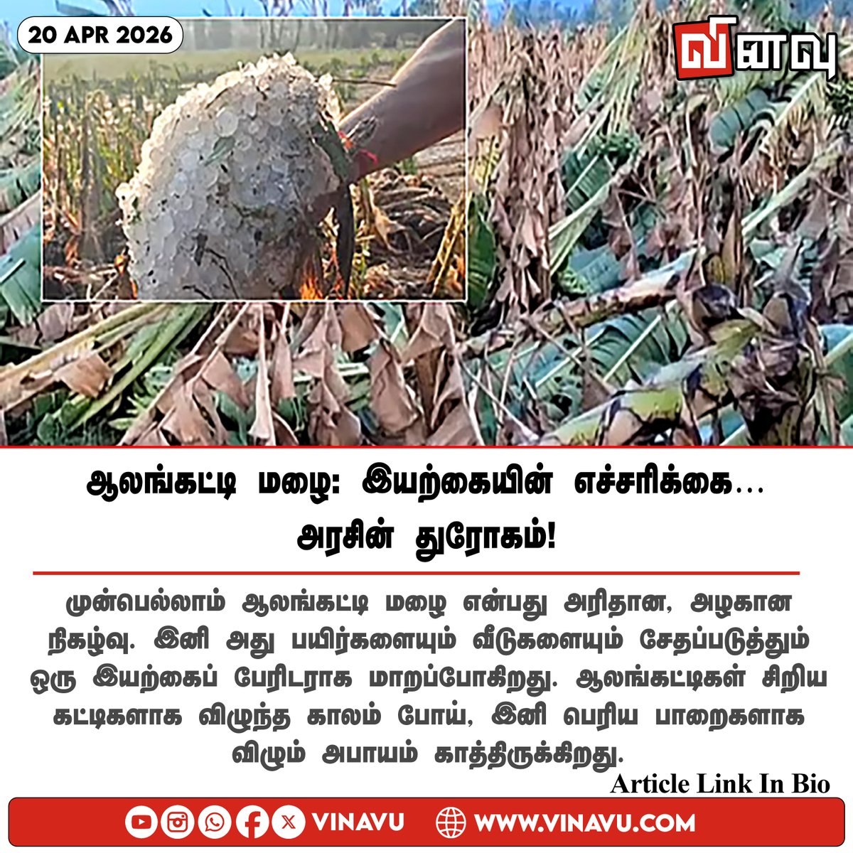 vinavu's tweet image. vinavu.com/2026/04/19/hai…
#HailStorm #Coimbatore #ClimateChange #DisasterManagement #WesternDisturbances
