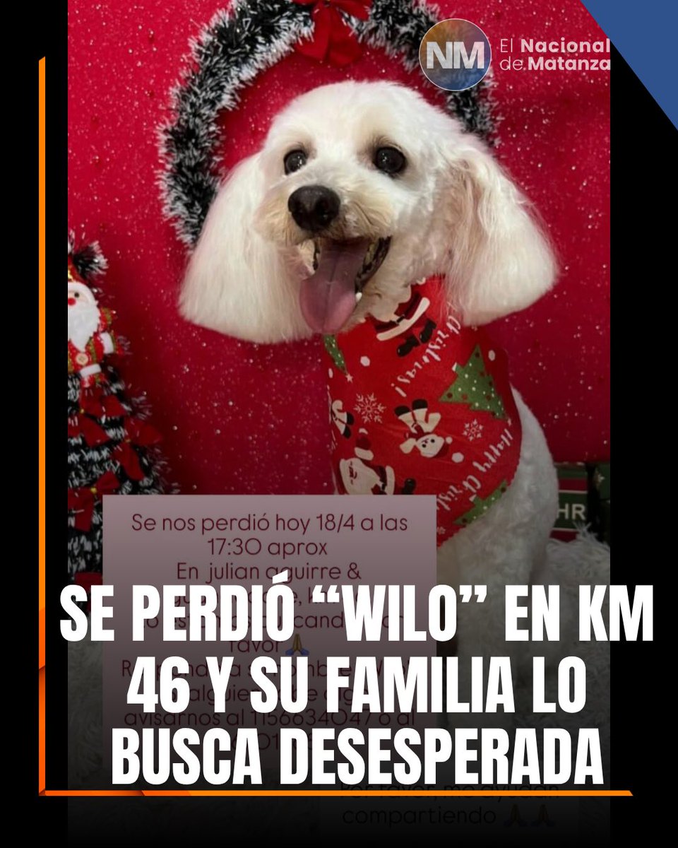 🐶 URGENTE – DIFUNDIR POR FAVOR

Se perdió Wilo ayer (18/4) alrededor de las 17:30 en la zona de Julián Aguirre y Guanacache, KM 46 (González Catán).

💔 Su familia lo está buscando desesperadamente y necesita ayuda para encontrarlo.

👉 Es un perrito pequeño, muy dócil y