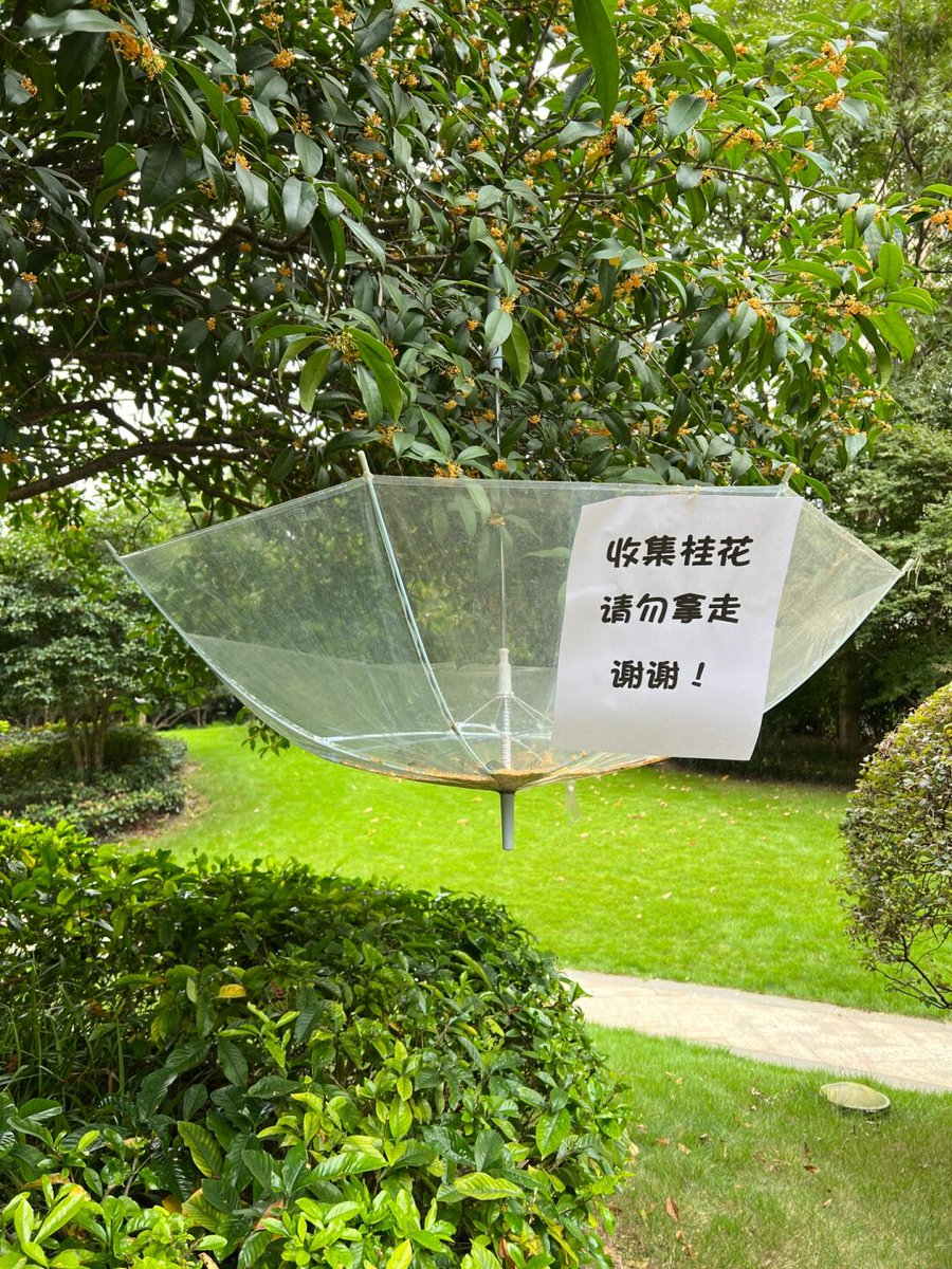 Альбина Гиниятуллина tweet media