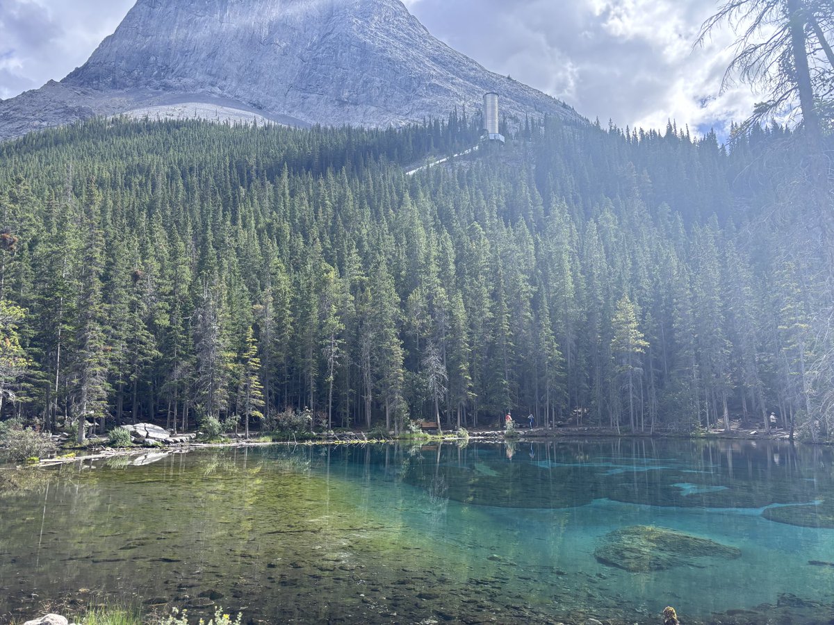 Amerie Jayne🇨🇦🍁 tweet media