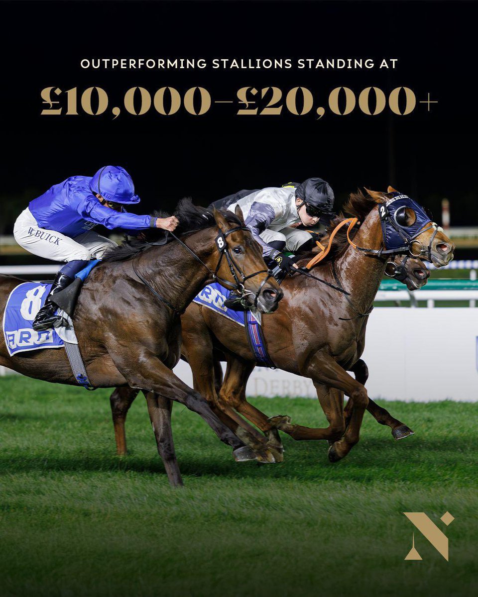The National Stud tweet media