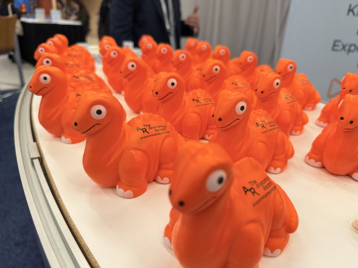 James_Reed3's tweet image. Made some new friends at the @AnatRecord  booth #Anatomy26 #aaa #dinosaurs