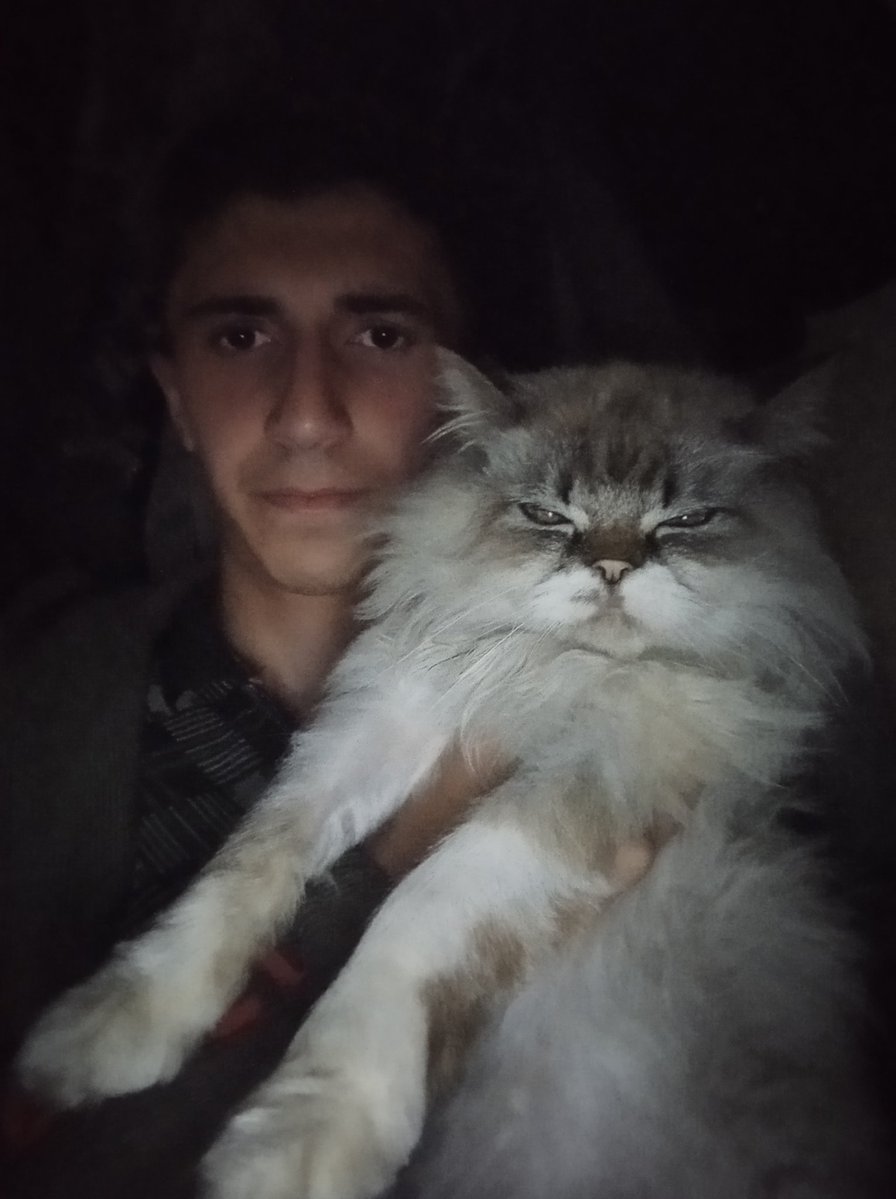 Ali From Gaza tweet media