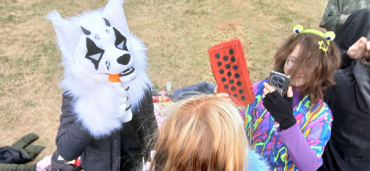 Evil_CEO_Office's tweet image. My first picnic as a vacationer went successfully. The variety of entertainment in this case is off the charts 😁

#furry #irl #picnic