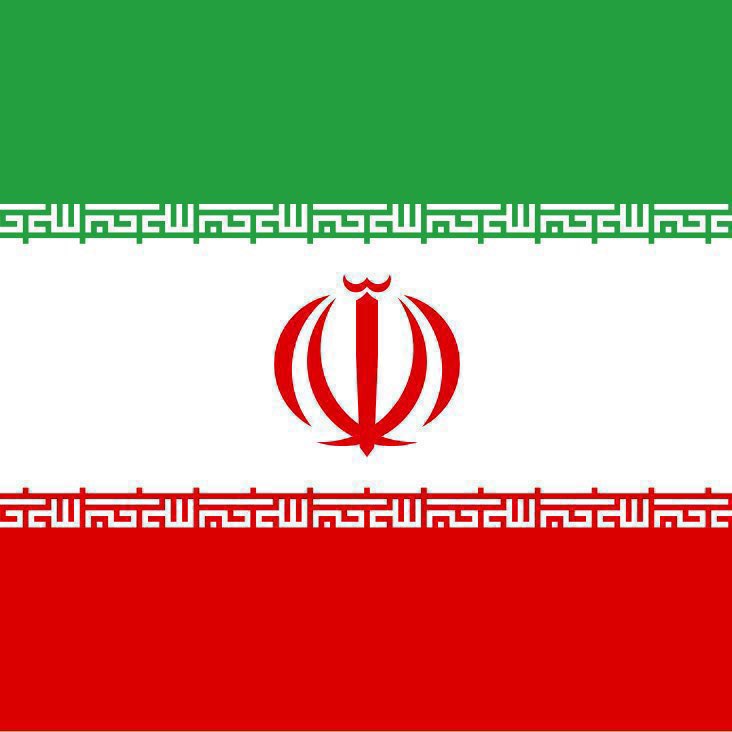 Whale Insider tweet media