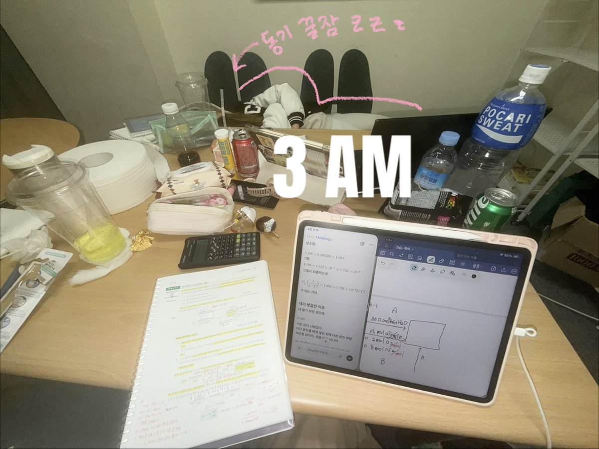 견소담 tweet media