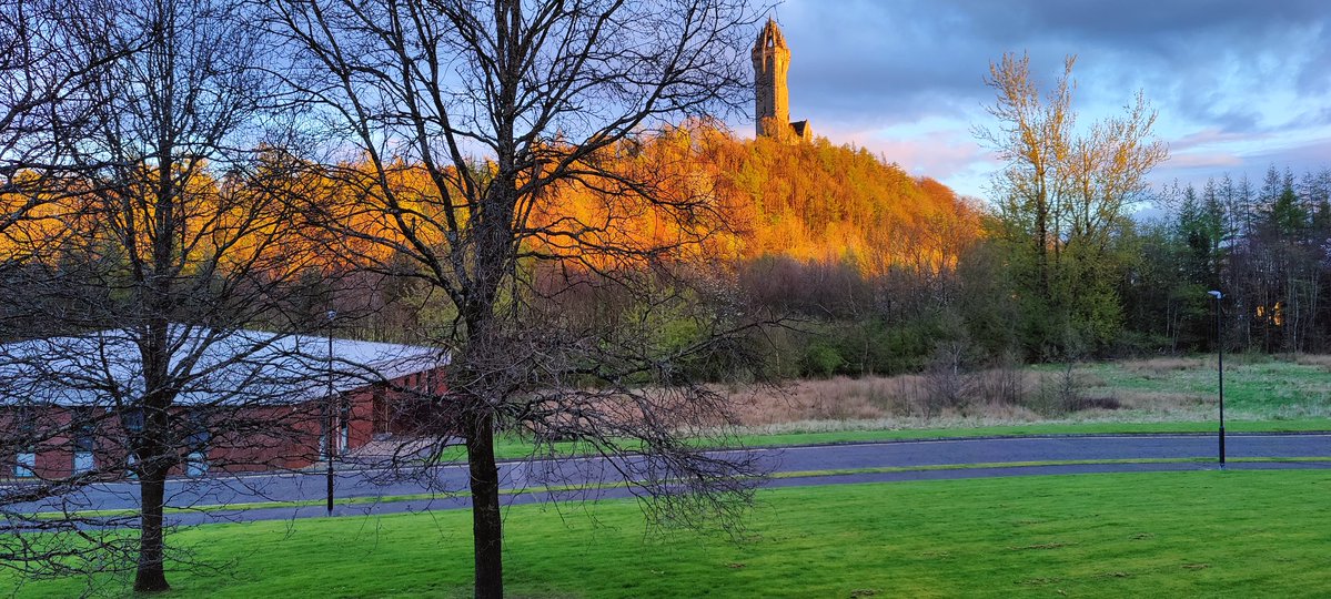 Broadcasting Scotland tweet media