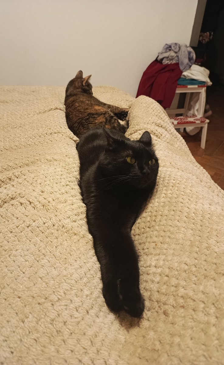 more like saburn tweet media