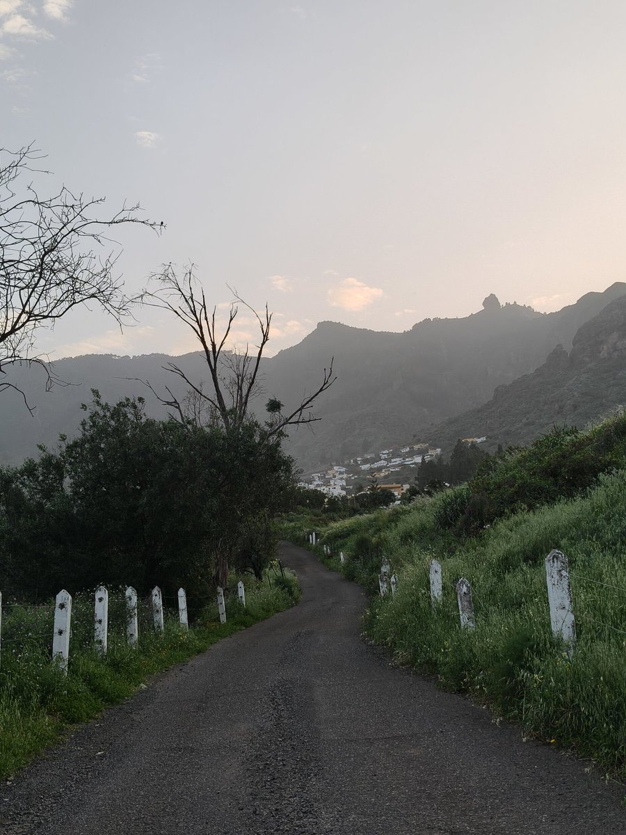 David Marrero tweet media