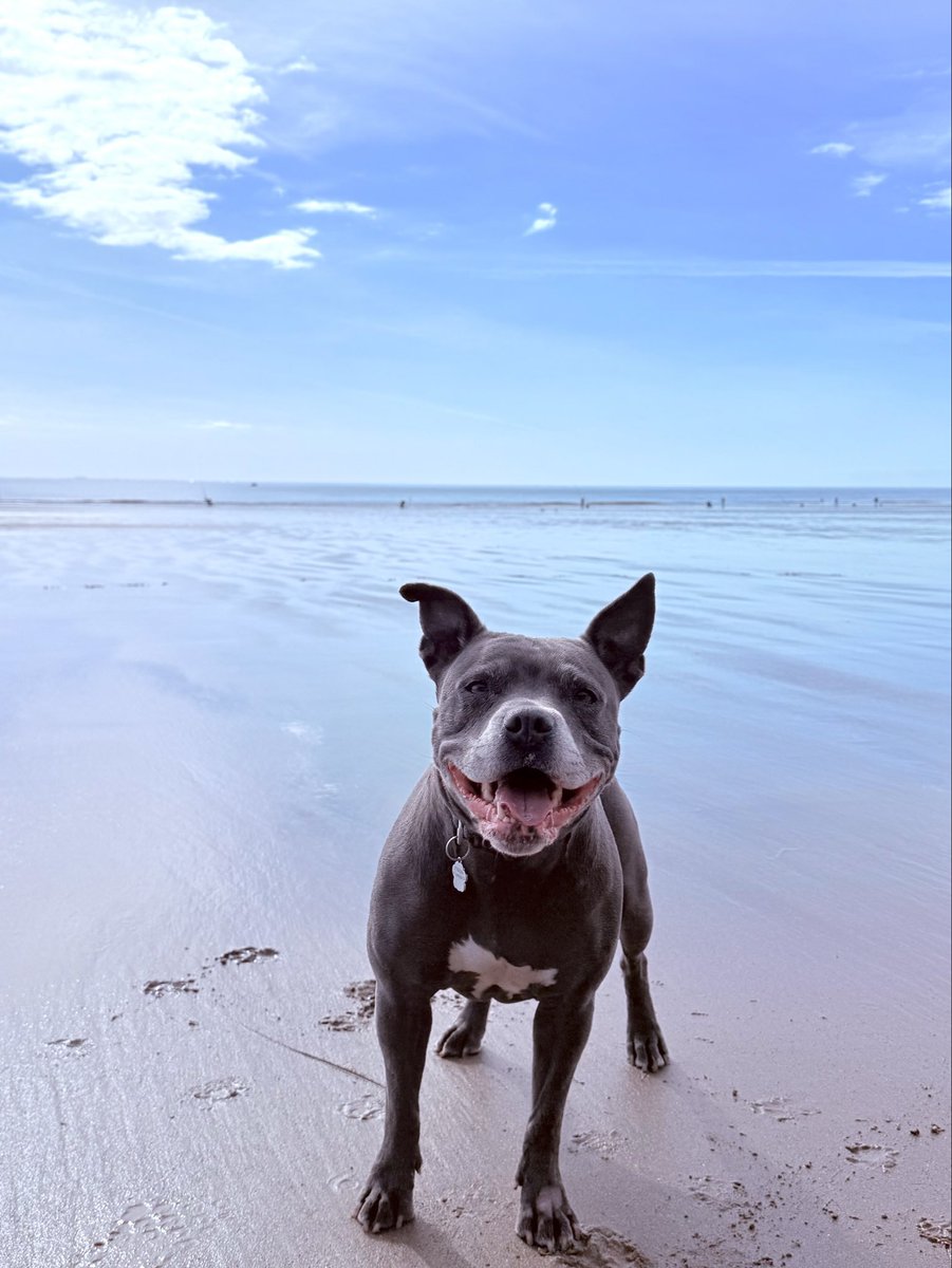 IsaMary2021's tweet image. I’ve had the bestest day 💖💖
#IsaMary #Beach #HappyPlace #Monknash 
🏴󠁧󠁢󠁷󠁬󠁳󠁿❤️