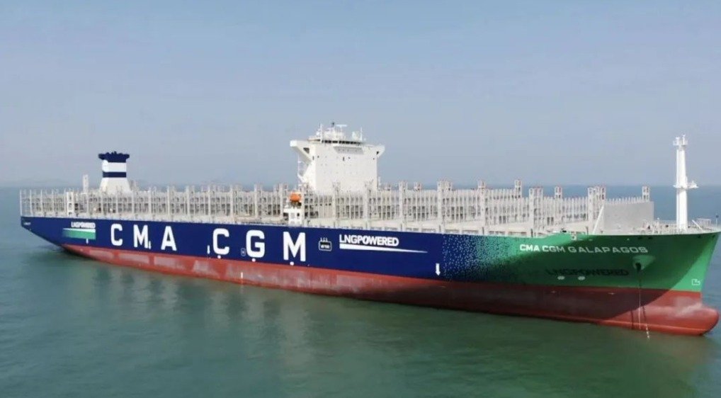 Mario Nawfal tweet media