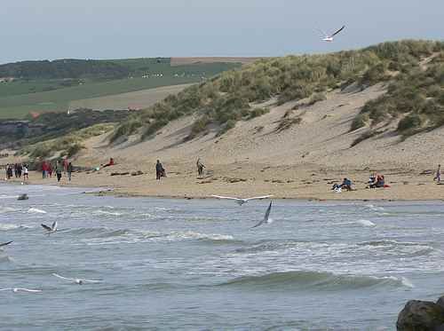 france_images's tweet image. Wissant a pretty seaside village on France’s northern coast. 

Photo: buff.ly/WN3alPv 🇫🇷 #France #Travel 

France 🇨🇵 travel photo