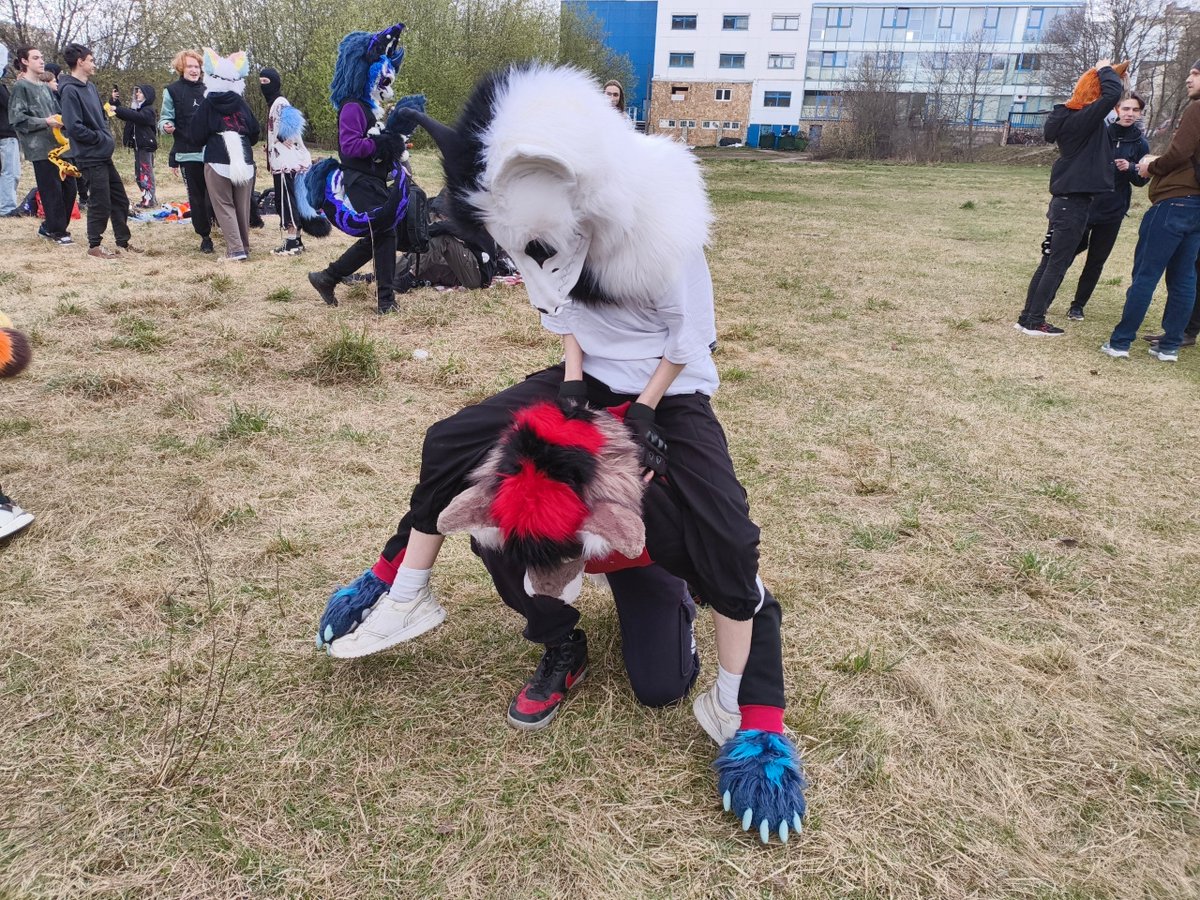 Evil_CEO_Office's tweet image. Footage for fun!

#furry #irl #picnic