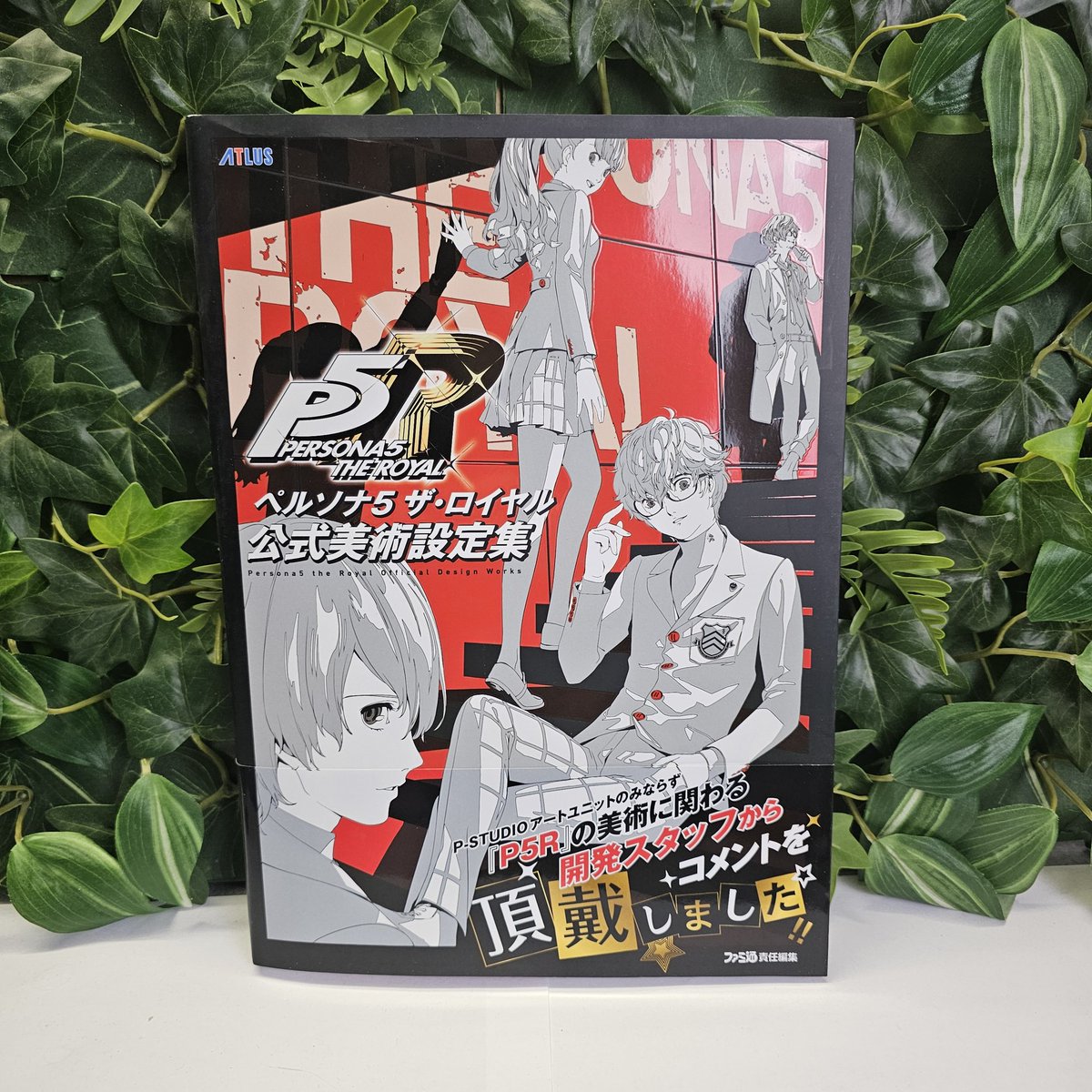 Konotoree tweet media