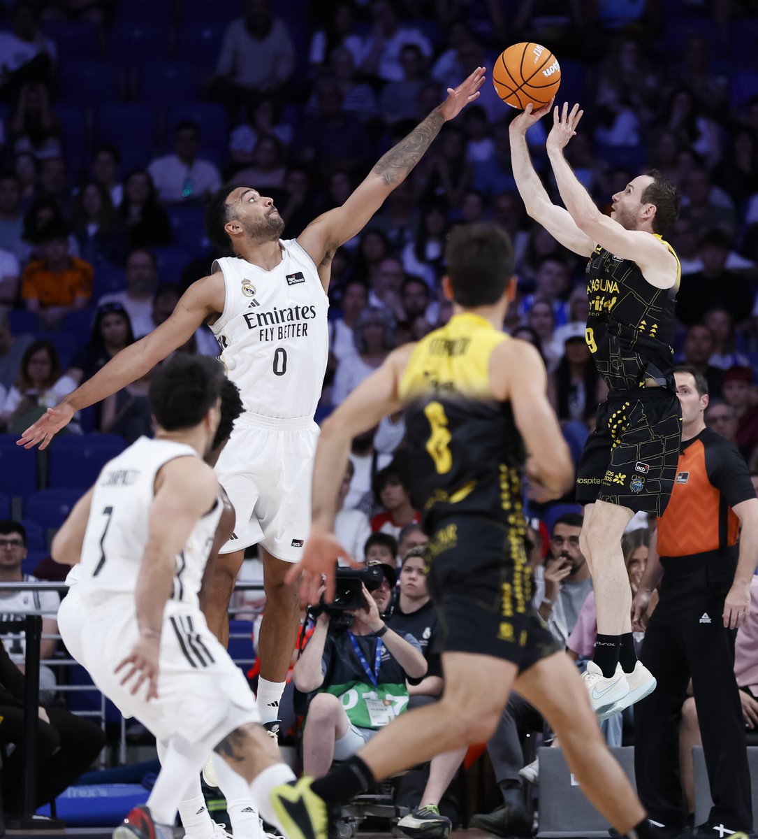 Gigantes del Basket tweet media