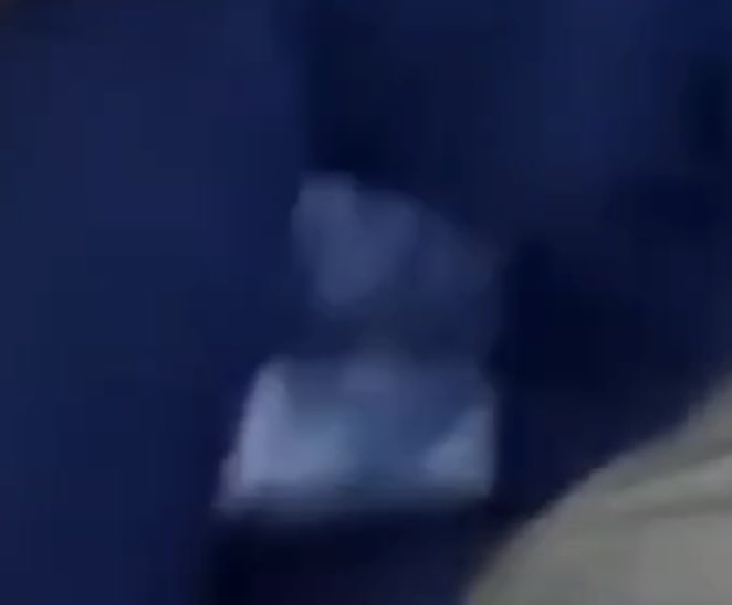 Amber 🧡 tweet media