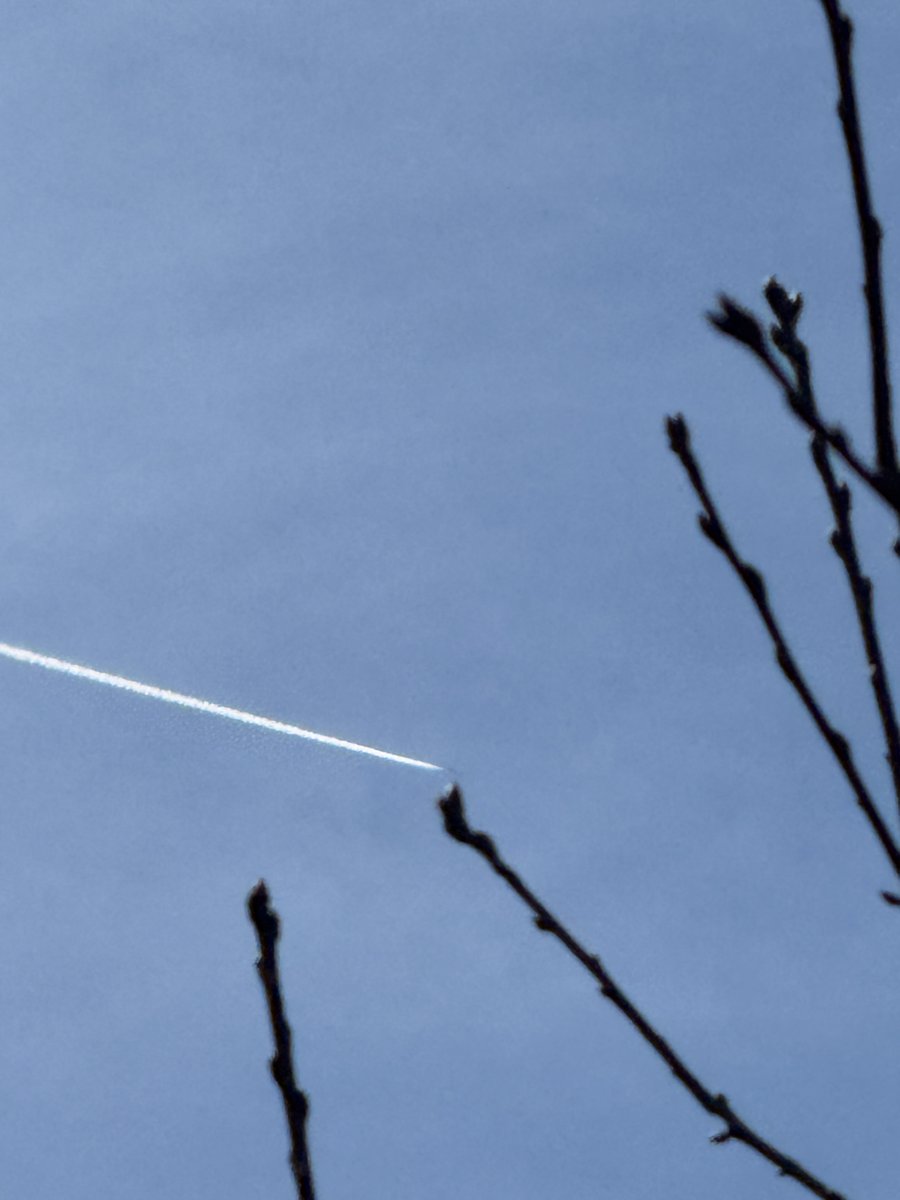 "Princess" Brenda Brown- Now at the "Garden House" tweet media