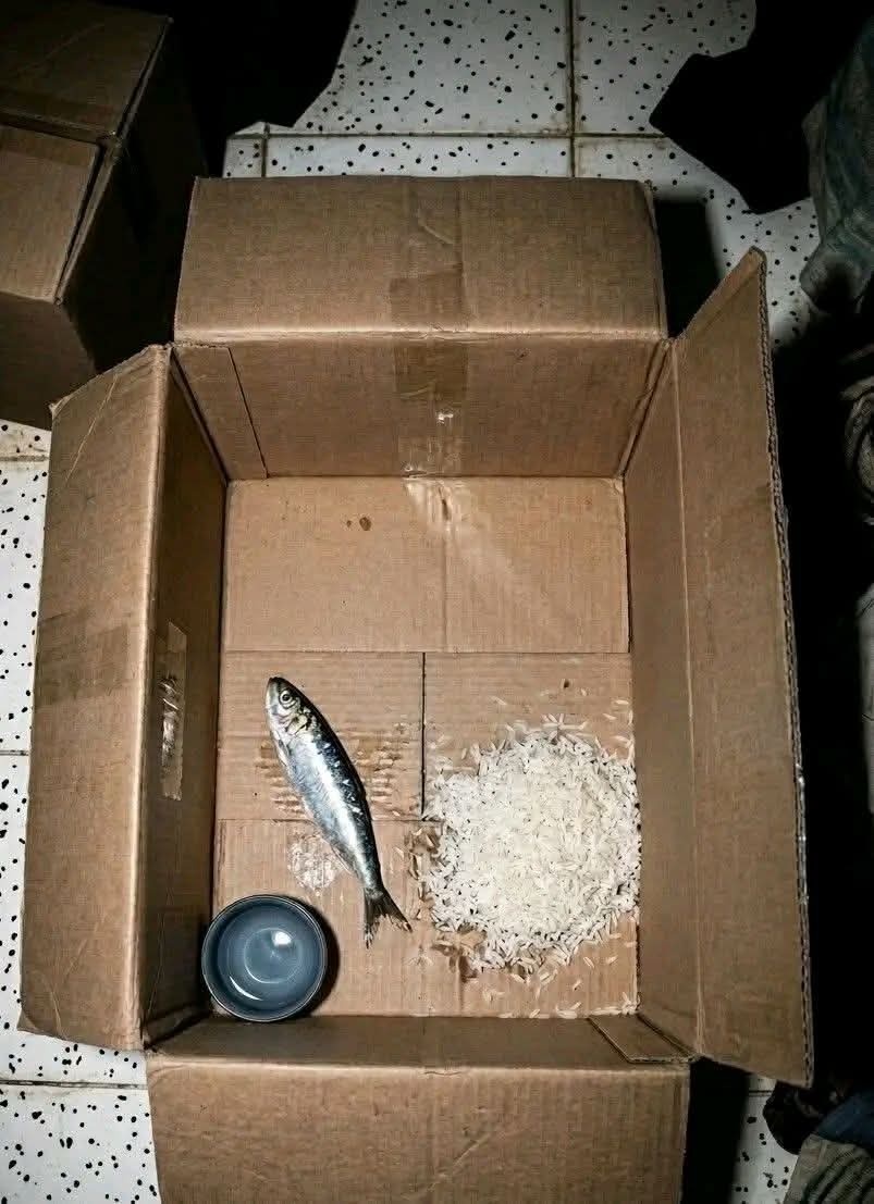 مرهفة الاحساس tweet media