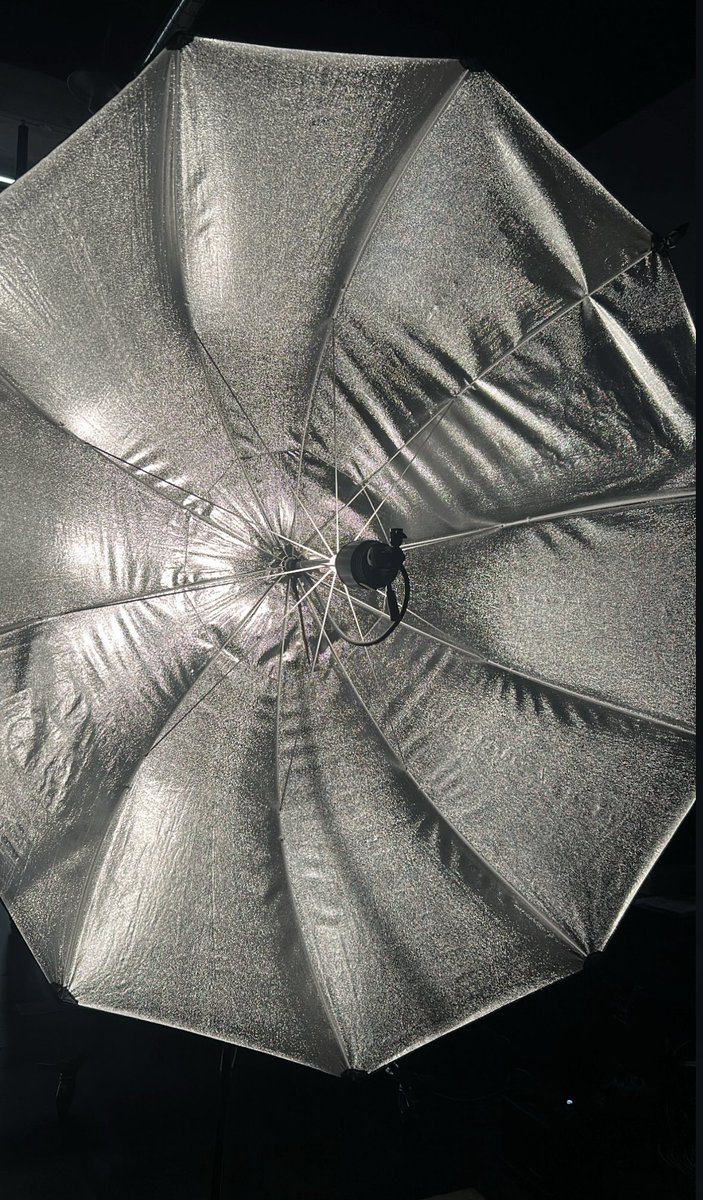 gossamorphic tweet media