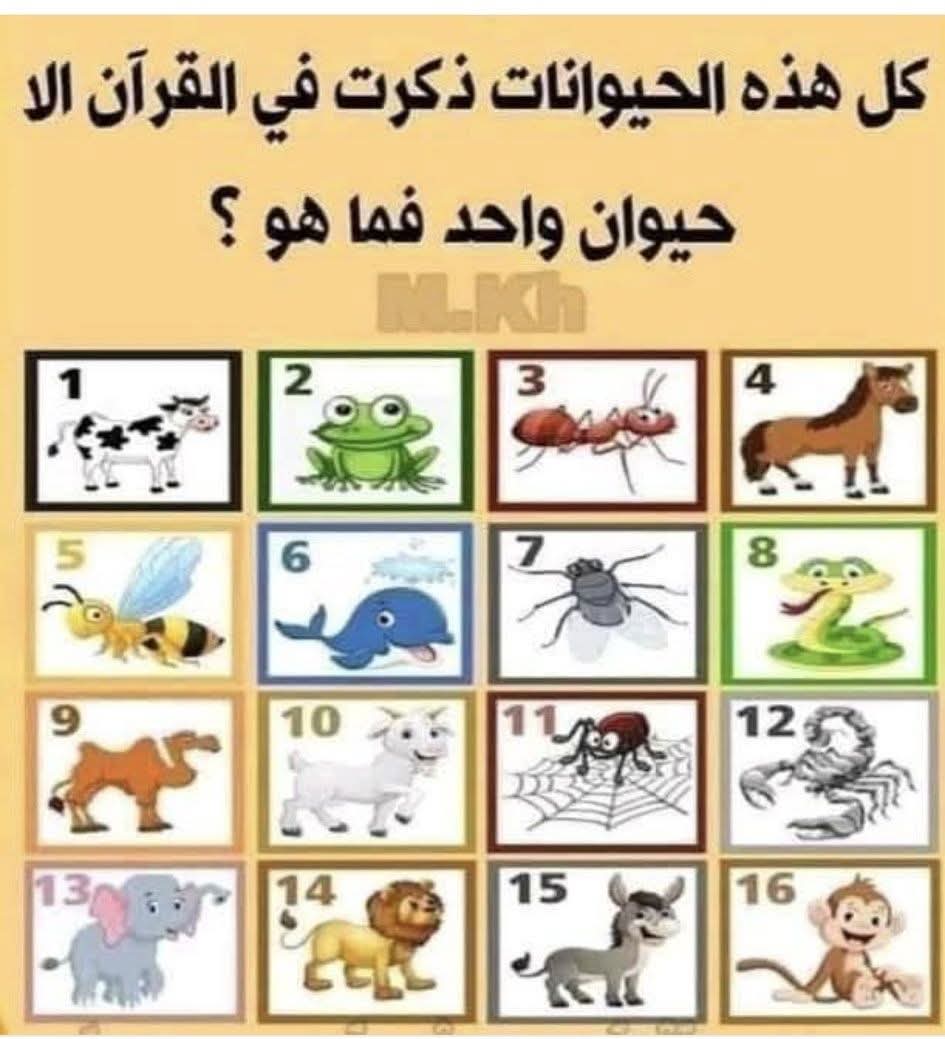 🌨☔️ بنت المطر ☔️🌦🇰🇼 tweet media