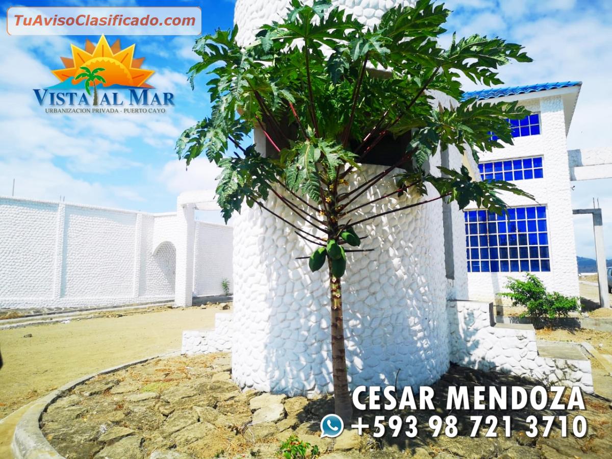 VENDO HERMOSOS SOLARES EN LA ESPECTACULAR PLAYA DE PUERTO CAYO ;CONTACTAME: +593987213710. LOTES PLAYEROS EN LA RUTA DEL SPONDYLUS EN PUERTO CAYO MANABI
Inmuebles y Propiedades > Terrenos y Lotes - Manabí. +Info 👇  ec.tuavisoclasificado.com/avisos/ver/id/…