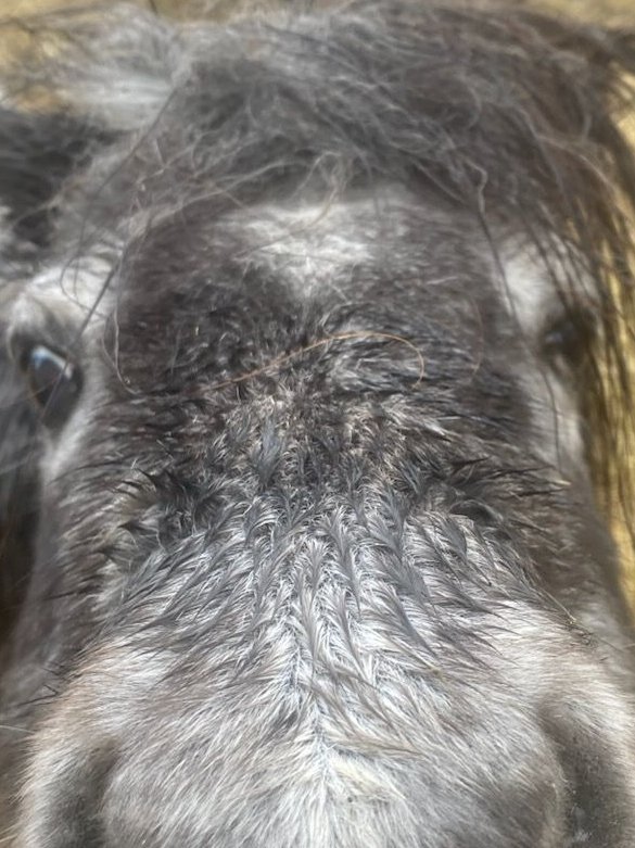 prajmen⚠️🕶 tweet media