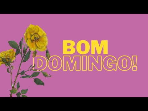 Débora S. tweet media