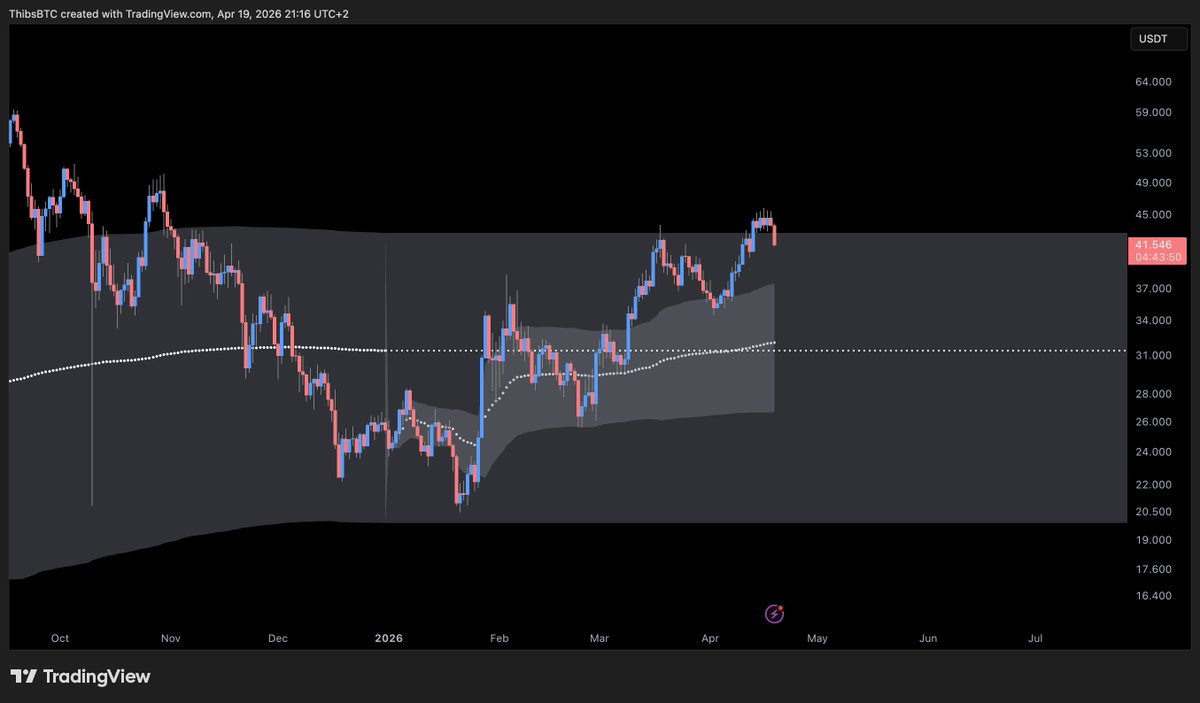 Thibs 🚀🏄‍♂️ tweet media