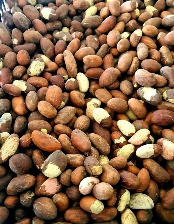 FÍDÍPÒTE 👑 tweet media