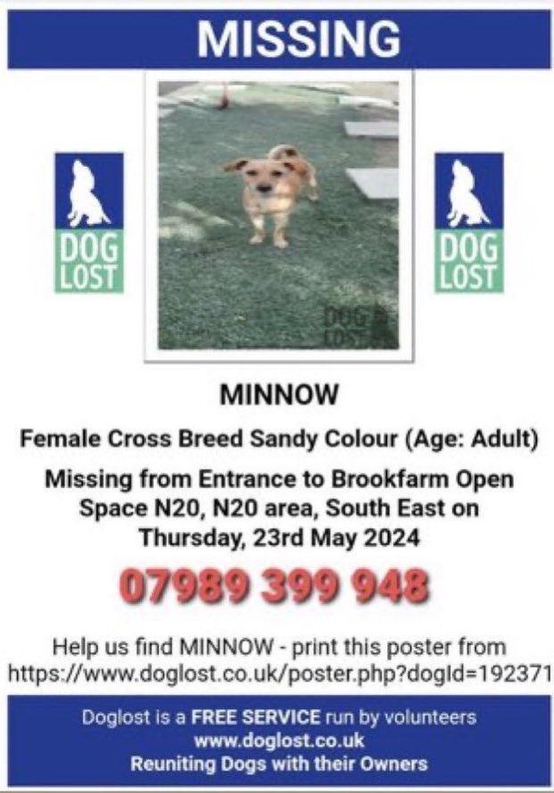 LisaClareRead2's tweet image. Have you seen Minnow?
She went missing over a year ago now on  23rd May 2024 from the entrance to Brookfarm Open space, N20 area, #London 
Please help if you have seen her, let’s help get her home 🏠 
Thank you 💕🐾
⬇️⬇️

doglost.co.uk/dog/192371

#SouthEast #UK #Stolendoghour
